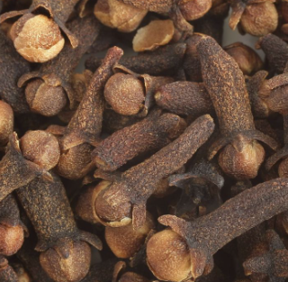 CLOU DE GIROFLE BIO