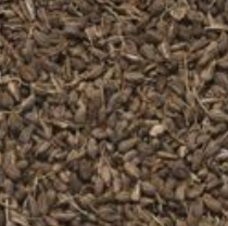 ANIS GRAINS BIO 100G