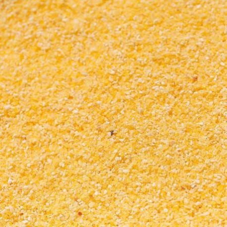 POLENTA BIO 100G