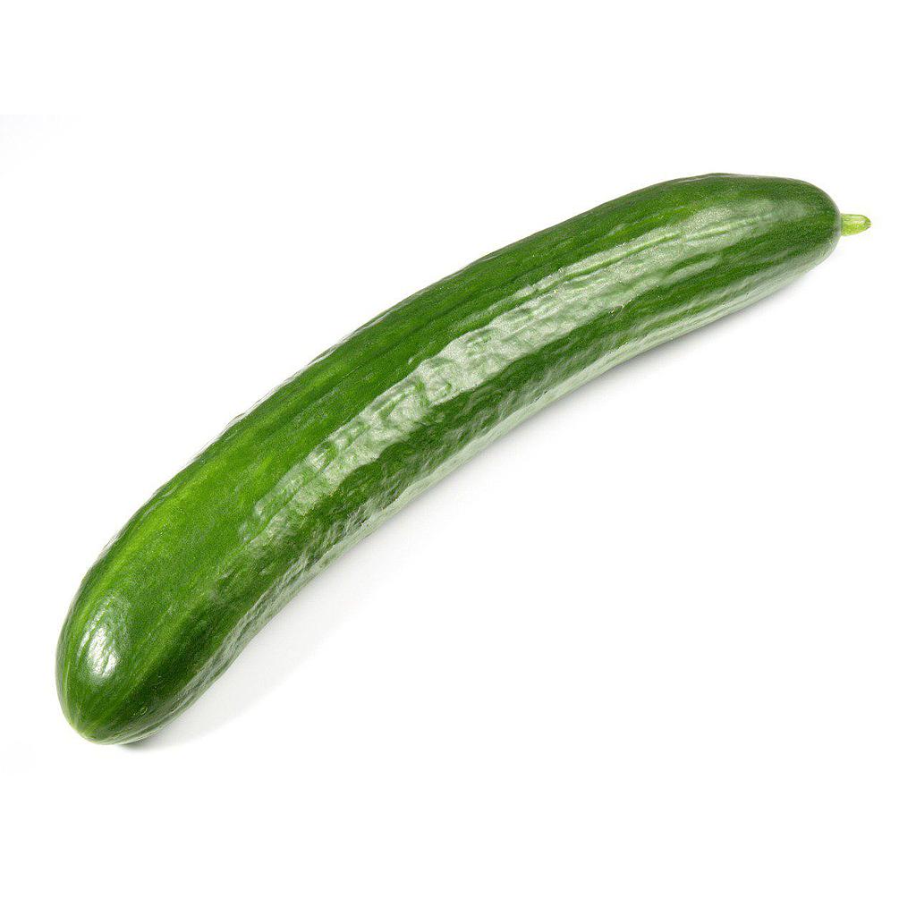 CONCOMBRE BIO