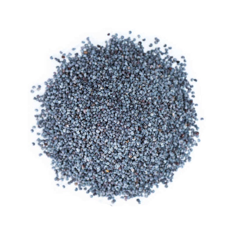 GRAINES DE PAVOT BIO 10G
