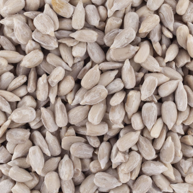 GRAINES DE TOURNESOL BIO