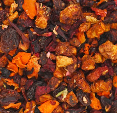 INFUSION FRAISE A GOGO 100G BIO