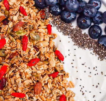 GRANOLA GOJI CHIA BIO
