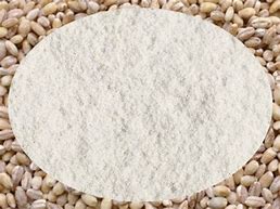 FARINE D'ORGE MONDE BIO 100G