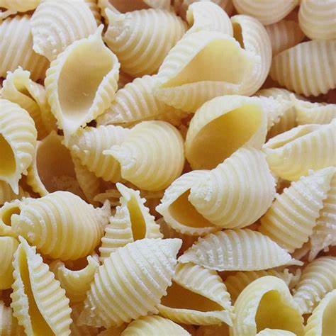 CONCHIGLIE BIO 100G
