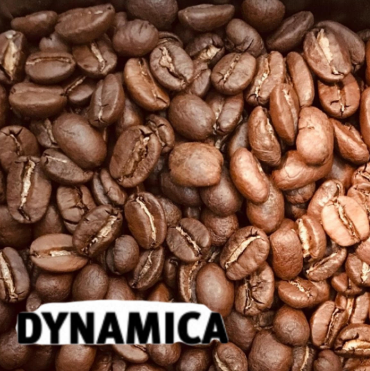 CAFE DYNAMICA MALO LES GRAINS