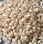 RIZ ROND COMPLET BIO