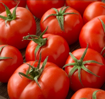 TOMATES BIO DE TETEGHEM 500G