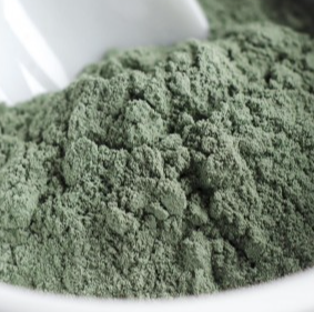 ARGILE VERTE ALIM. ET COSM. BIO