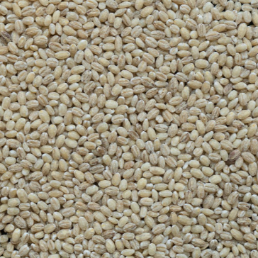 ORGE MONDE BIO 100G