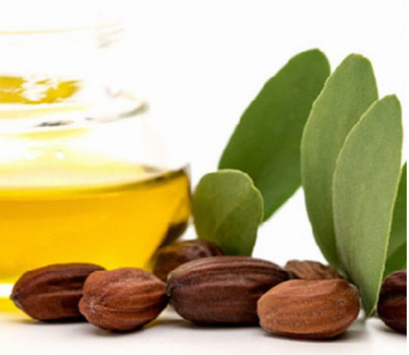 HUILE DE JOJOBA BIO VRAC 100G