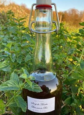 SIROP MENTHE BERGAMOTE 50CL