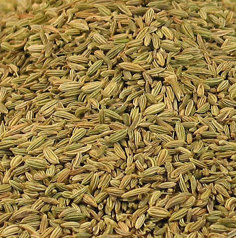 FENOUIL VERT GRAINES BIO