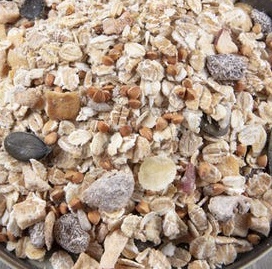 MUESLI FRUITS SECS ET SARRASIN BIO