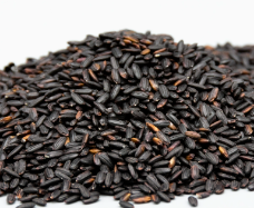 RIZ NOIR NERONE BIO