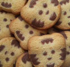 BISCUIT ENFANT TIGRE VANILLE CACAO BIO