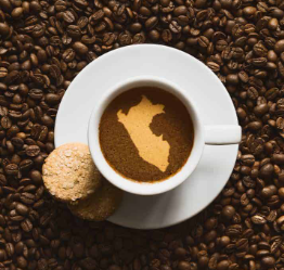 CAFE PEROU MANZANILLA DECAFEINE