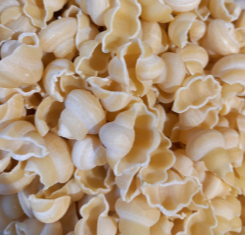 GNOCCHI BIO