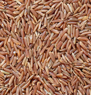 RIZ CAMARGUE LONG COMPLET ÉTUVÉ IGP BIO
